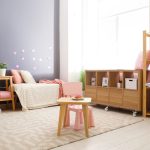cameretta: Organizzazione e funzionalità